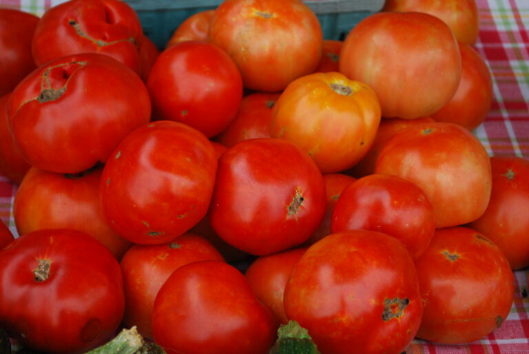 johns creek farmers market,personalchef johns creek,personal chef alpharetta, personal chef roswell,how to choose a tomato,how to store a tomato,how to pick a tomato
