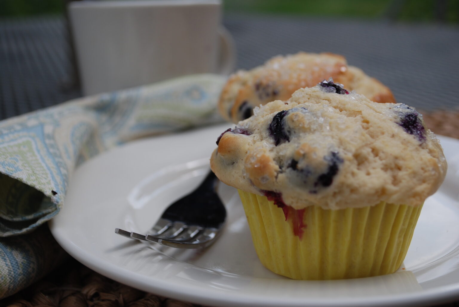 College Care Package Recipe Easy Blueberry Lemon Muffins